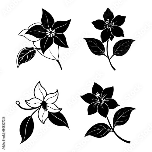 Vector illustration of four bud jasmine flower silhouettes
