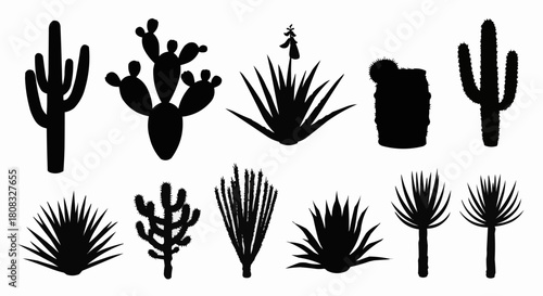 Desert plant silhouettes collection featuring various cactus and succulent species.