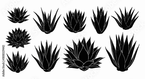 Collection of Diverse Agave Plant Silhouettes in Various Forms.