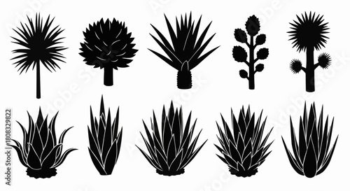 Collection of Silhouettes of Various Desert Plants and Cacti.