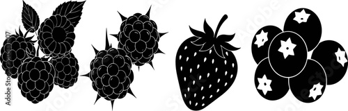 Bold berry silhouette vector illustration set, featuring raspberries, blackberries, strawberries, and blueberries, perfect for food design, organic branding, packaging, and natural product themes