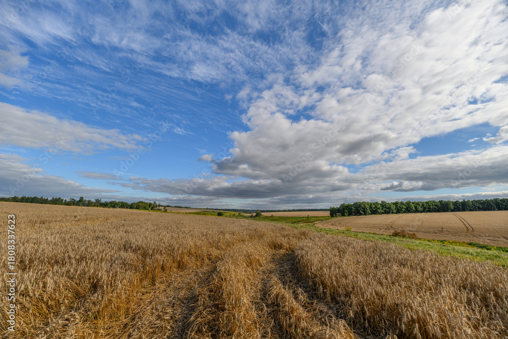 Obraz premium An Expansive Field Nestled Under a Dramatic and EyeCatching Sky Viewing Landscape