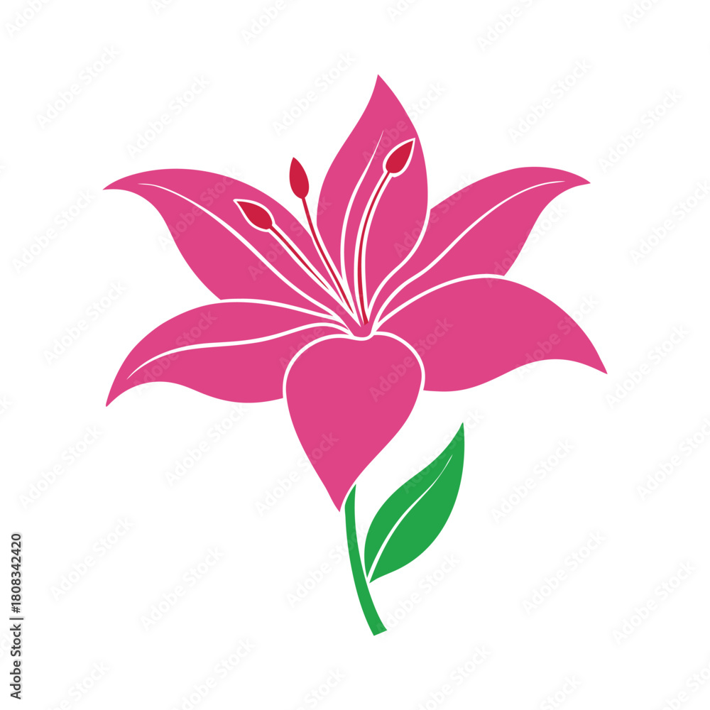 Fototapeta premium Stylized pink lily flower illustration with green stem and leaf. isolated on white background