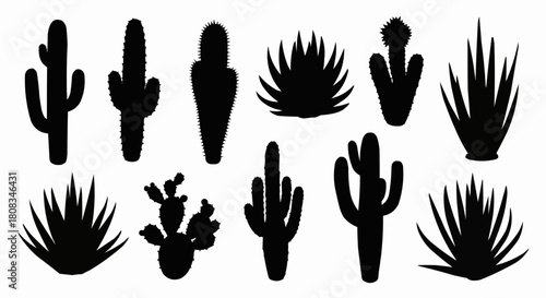 Silhouettes of various cacti and succulents in black and white, desert plants.