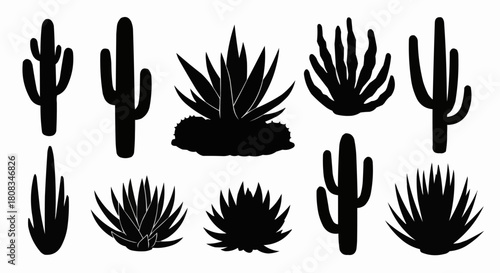 Collection of Desert Cacti and Agave Plants Silhouettes.