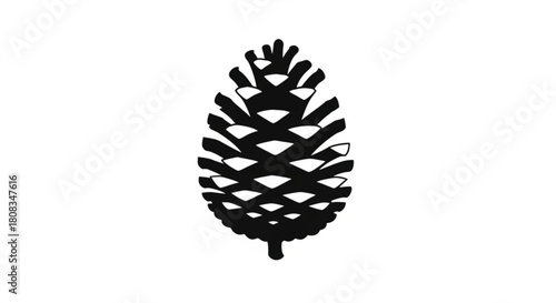 Black and white pinecone drawing, forest cone vector illustration, nature themed design element icon art