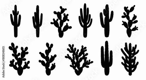 Silhouette Collection of Desert Cacti and Succulents.