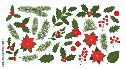 A festive collection of traditional Christmas botanical elements, including red holly berries, poinsettias, and green pine branches for holiday designs.