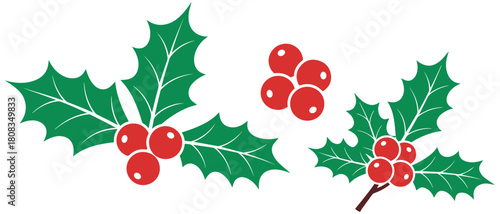 Festive holly leaves and berries for holiday cards and Christmas decorations design