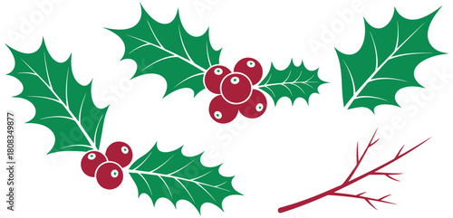 Festive holly berry arrangements for elegant holiday designs and seasonal decorations