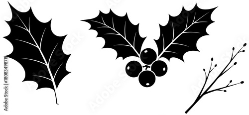 Elegant holly berry sprigs for festive Christmas designs, holiday cards, and winter projects