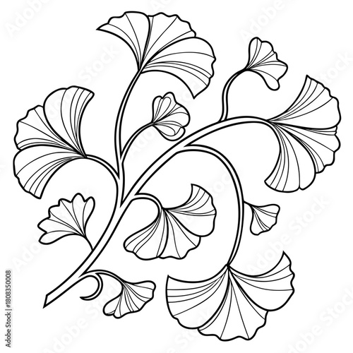 Elegant Art Nouveau Flowing Ginkgo Leaves Illustration