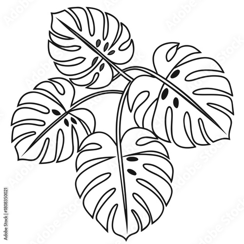 Tropical Mandala Repeat Pattern