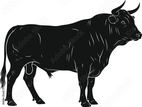 Black bull silhouette standing proudly on white background, strong muscular animal vector illustration, wildlife power concept, farm animal art, strength