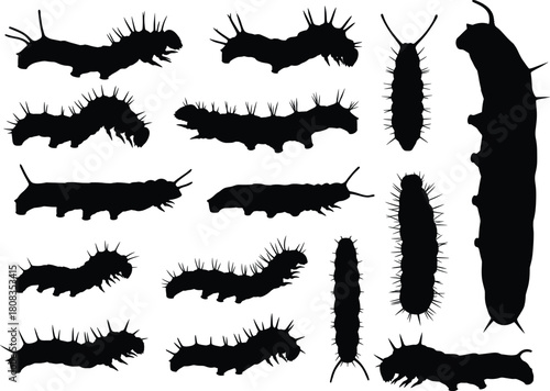 Caterpillar insect silhouette vector illustration, black and white bug design, wildlife nature drawing for biology study, entomology art, and educational decoration