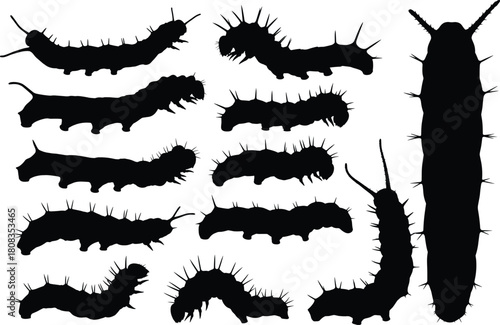 Caterpillar insect silhouette vector illustration, black and white crawling bug design, nature wildlife drawing for biology education, entomology art, and graphic decoration