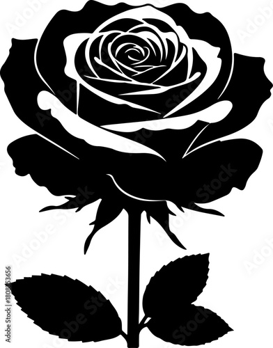 Silhouette of a Beautiful Rose Blossom on a Stem with Leaves