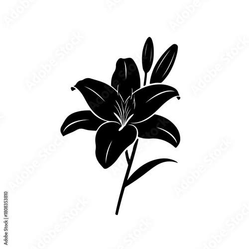 Elegant Lily Blossom Silhouette Floral Design for Creative Projects