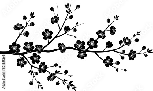 Elegant cherry blossom branch silhouette vector illustration, floral spring design with blooming flowers, Japanese style botanical artwork, nature and beauty concept