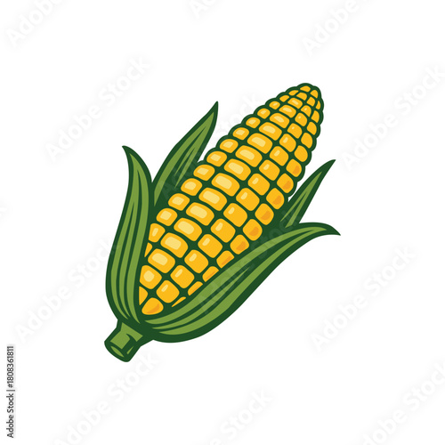  Ripe corn illustration