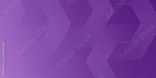 Abstract purple hexagon background. line hexagon composition. Vector illustration simple art modern