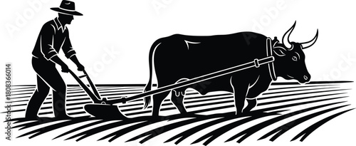 Farmer plowing field with ox, traditional agriculture vector illustration, rural farming work scene, countryside cultivation and farm labor design concept