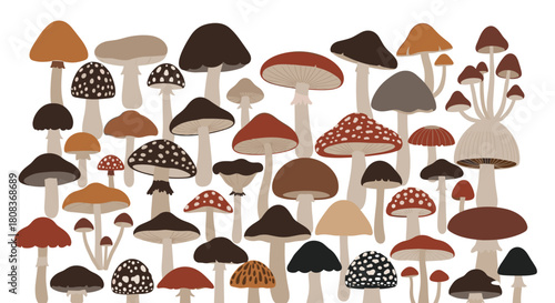 Charming mushroom medley! Perfect for adding a touch of earthy whimsy and autumnal charm to your designs, invitations, and creative projects