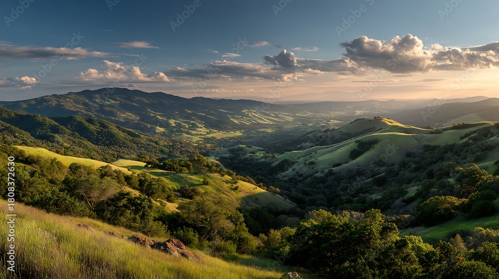 Obraz premium Rolling Green Hills Landscape with Trees and Sunset Light