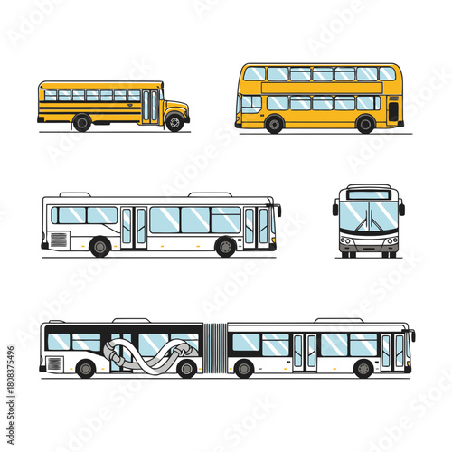 Set of various yellow and white public transportation bus types including school bus, double decker, and articulated bus, isolated on