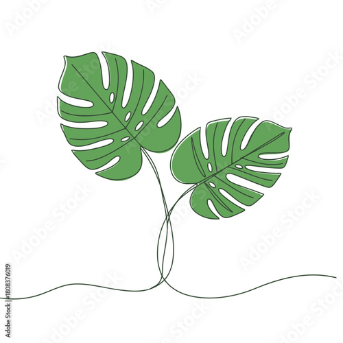 Minimalist continuous line drawing of two vibrant green monstera deliciosa plant leaf stem, representing tropical nature and growth, isolated on
