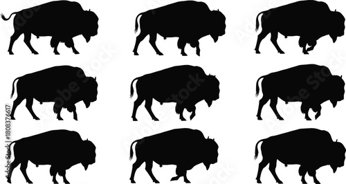 American Bison buffalo silhouette set, large North American wild mammals standing in various poses, for wildlife conservation themes.