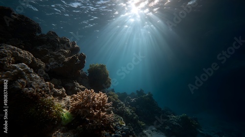 Fototapeta Naklejka Na Ścianę i Meble -  Underwater coral reef illuminated by sunbeams filtering through the ocean surface
