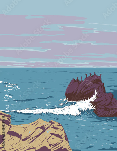 WPA style or ukiyo-e illustration of Brandt's cormorant on rocks at Restless Sea in the Pacific Coast along 17 Mile Drive, Pebble Beach, California done in retro works project administration style.