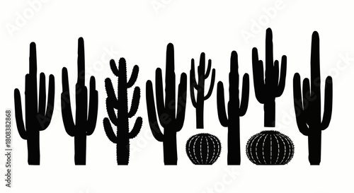 Silhouette of various cacti plants in a row, desert botanical illustration.