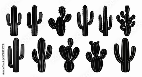 Black cactus silhouettes collection on white background desert plants.