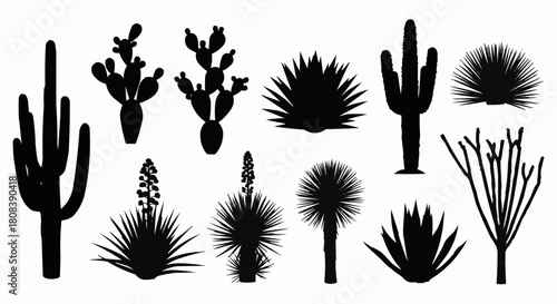 Desert flora silhouette collection featuring various cactus and plant species.