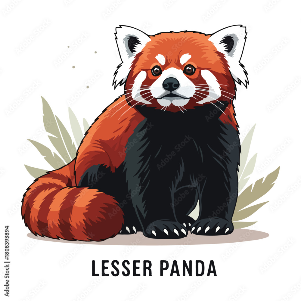 Naklejka premium Lesser Panda Collection of Wild Animal Vector Illustrations