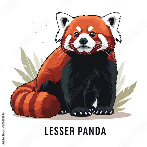 Lesser Panda  Collection of Wild Animal Vector Illustrations