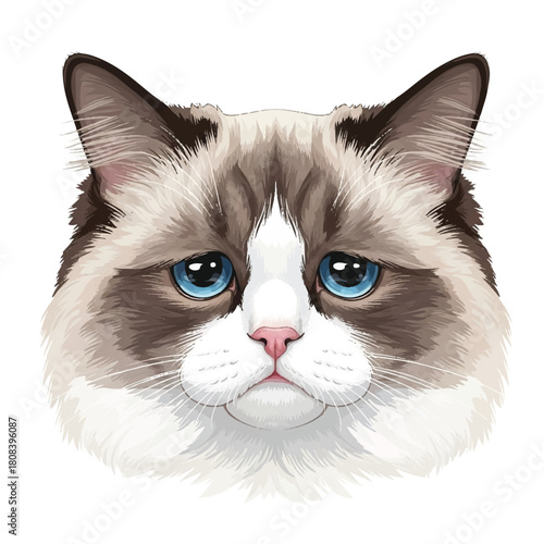 Captivating digital illustration of a domestic feline's head, showcasing its strikingly serious demeanor and intense blue eyes with detailed fur texture, isolated on white