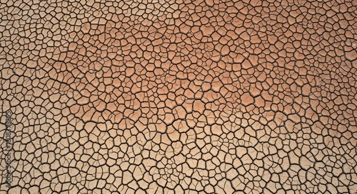 Cracked dry earth surface with intricate polygonal patterns in arid desert landscape