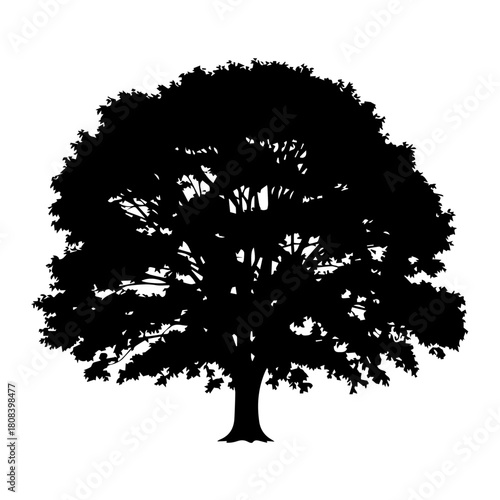 A detailed black silhouette illustration of a majestic, solitary oak tree with a full leafy canopy, isolated on a white background