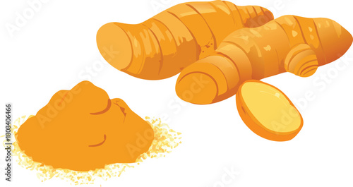 A vibrant illustration depicting fresh turmeric root and its powdered spice form