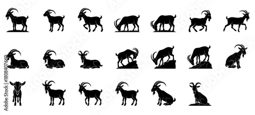 mountain goats set, including standing, grazing, running, and resting, ideal for agriculture, wildlife, or farm design projects.