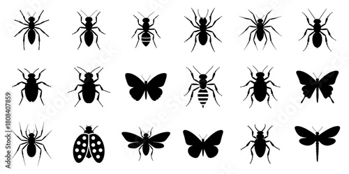 Insect and Bugs Icons Silhouette Set. arthropods, including ant, beetle, spider, butterflies and ladybug. vector illustration