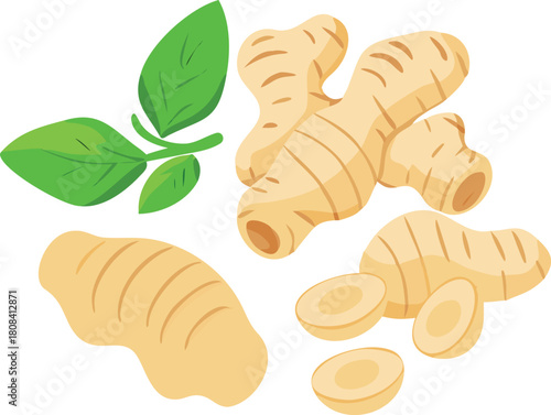 Fresh turmeric roots with green leaves a vibrant and healthy spice illustration