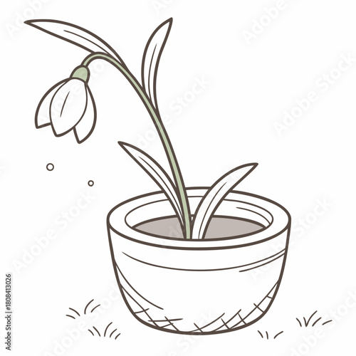Illustration of a snowdrop flower in a pot isolated on