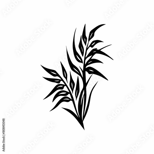 Illustration of a wheat plant isolated on