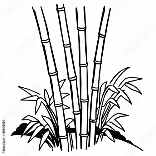 Illustration of bamboo stalks with leaves isolated on
