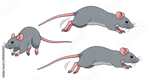 Cartoon rats leaping and running, a playful animation sequence originally designed as scalable vector art, ready for your creative projects