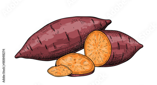 A hand-drawn sketch illustration of whole and sliced purple sweet potatoes shows the orange flesh in a colorful vintage style.